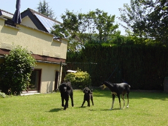 Hanka, Evi, Mitraa